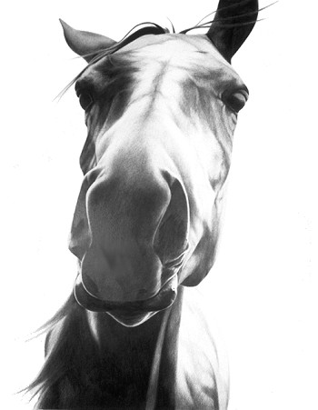 This drawing did not win any