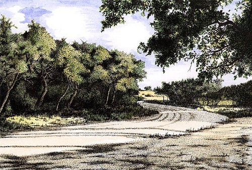 Country Road