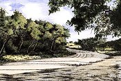 Country Road